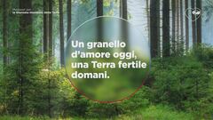 Un granello d'amore oggi, una Terra fertile domani Un granello d'amore oggi, una Terra fertile domani